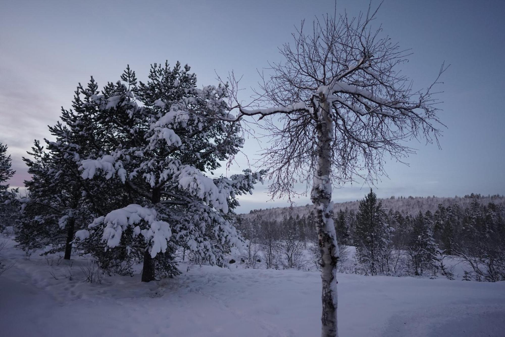 Muotkan Ruoktu Tunturikyla Inari Exterior photo